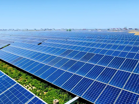 SANY Signed a Memorandum of Cooperation with Zambia about the Photovoltaic Project