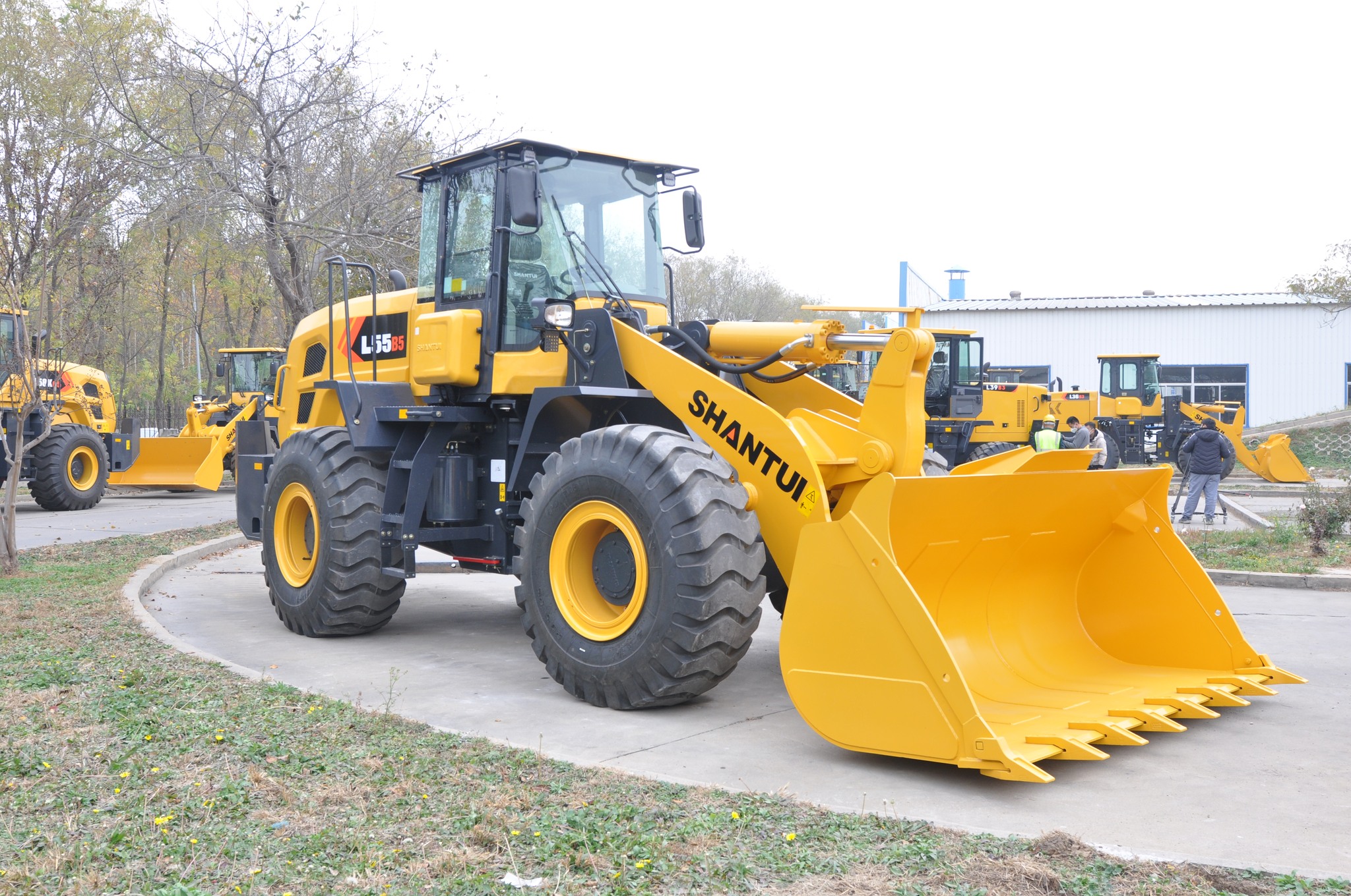 New Shantui 5 ton wheel loader L55-B5