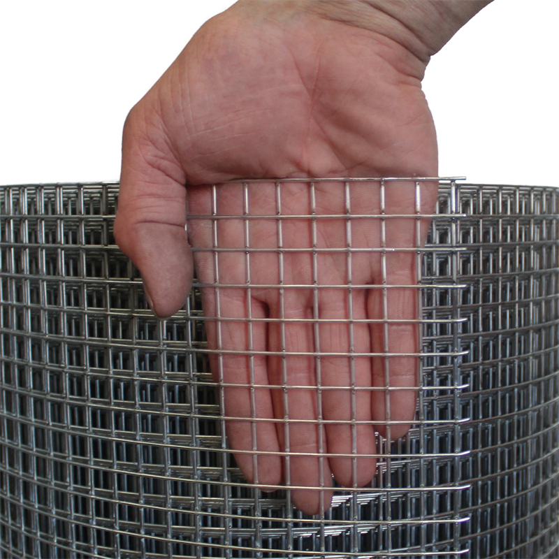 Galvanized welded wire mesh