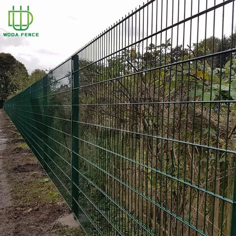 Double Wire Fencing