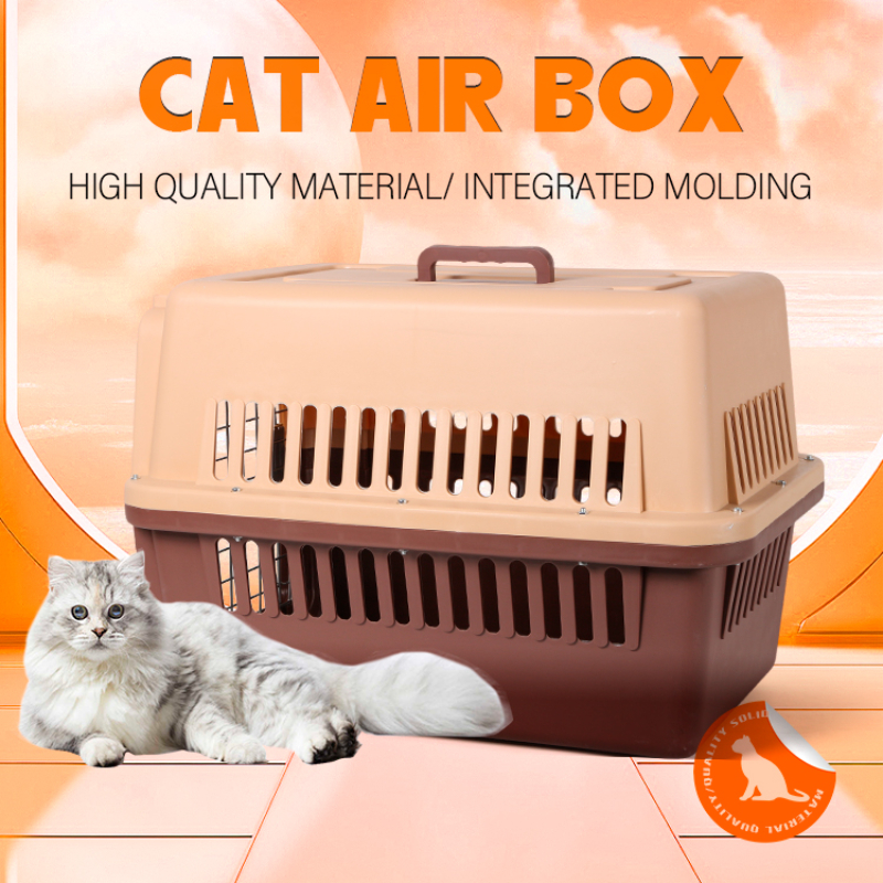 Cat Air Box