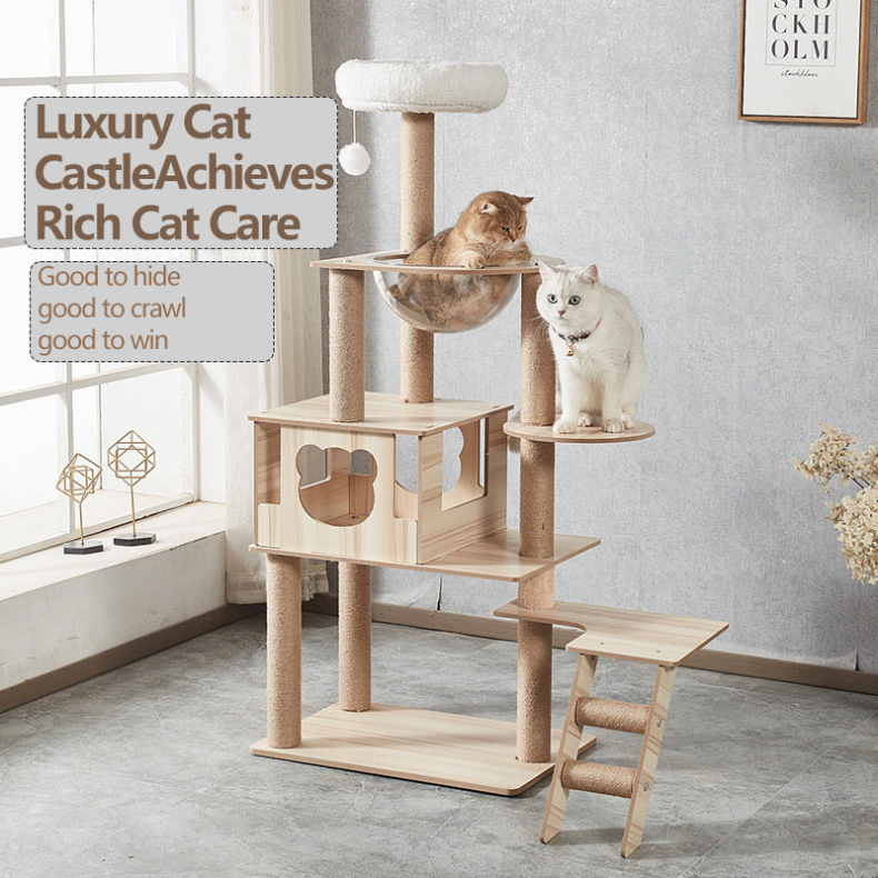 Cat Climbing Frame