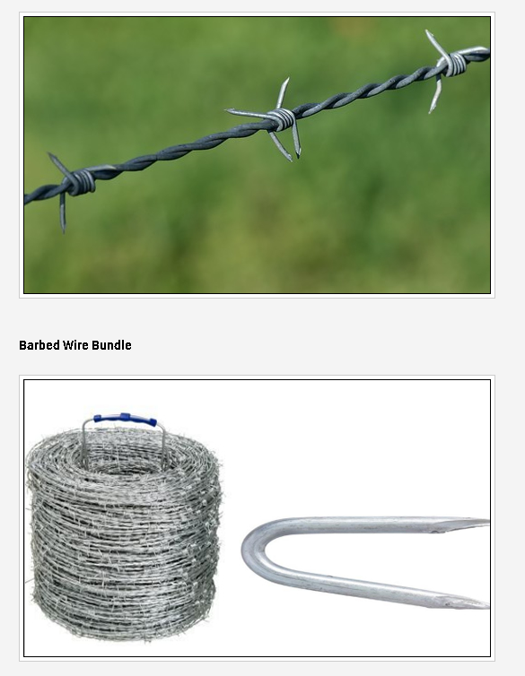 Double Strand Twist Barbed Wire Exporter