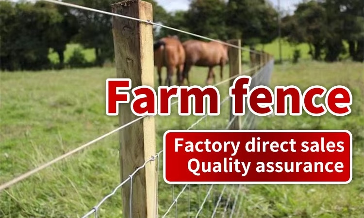 Wire Mesh Cattle Fence /Grassland Wire Roll
