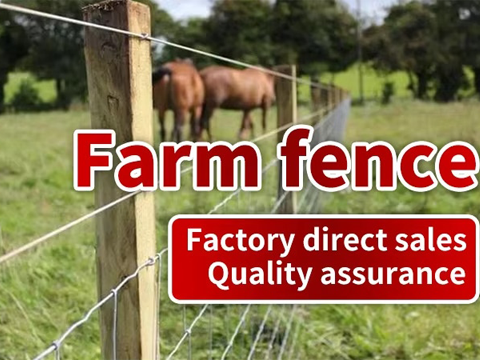 Wire Mesh Cattle Fence /Grassland Wire Roll