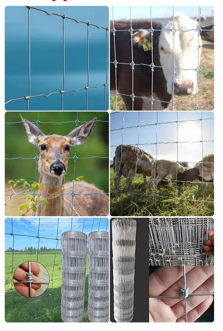 Wire Mesh Cattle Fence /Grassland Wire Roll