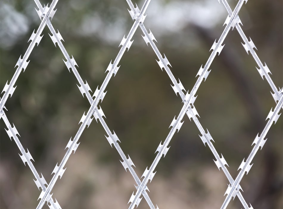 Razor Wire vs Barbed Wire