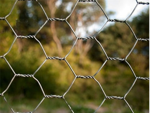 Hexagonal Wire Mesh: A Comprehensive Guide