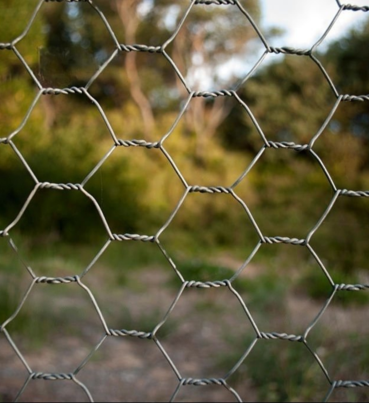 Hexagonal Wire Mesh: A Comprehensive Guide