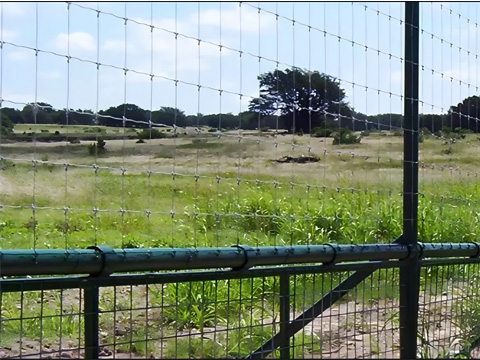 Wire Mesh Fencing Solutions for Water Gaps