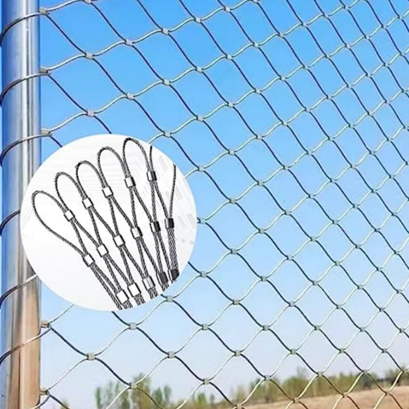 Why Modern Zoos Are Switching to Stainless Steel Wire Rope Mesh? Why Modern Zoos Are Switching to Stainless Steel Wire Rope Mesh?