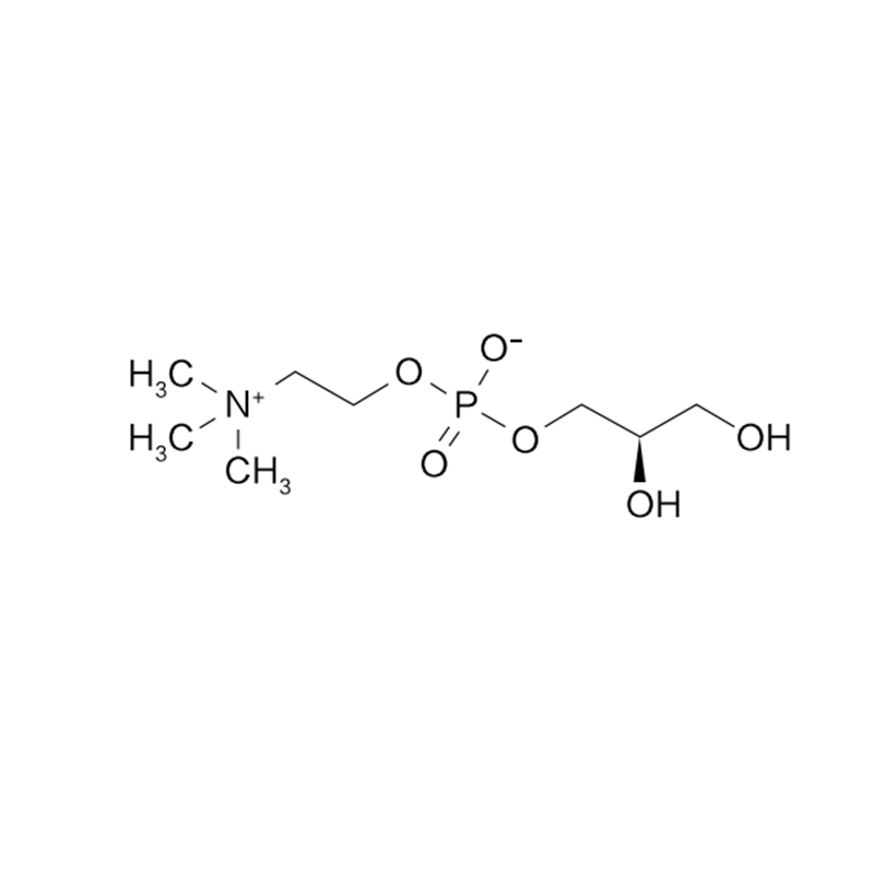 L-alpha-glyceryphosphocholine