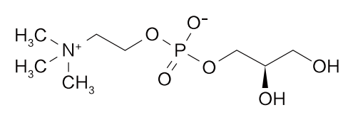 L-alpha-glyceryphosphocholine