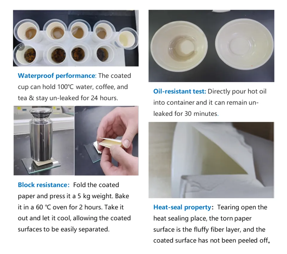 Barrier Coatings for Paper Packaging