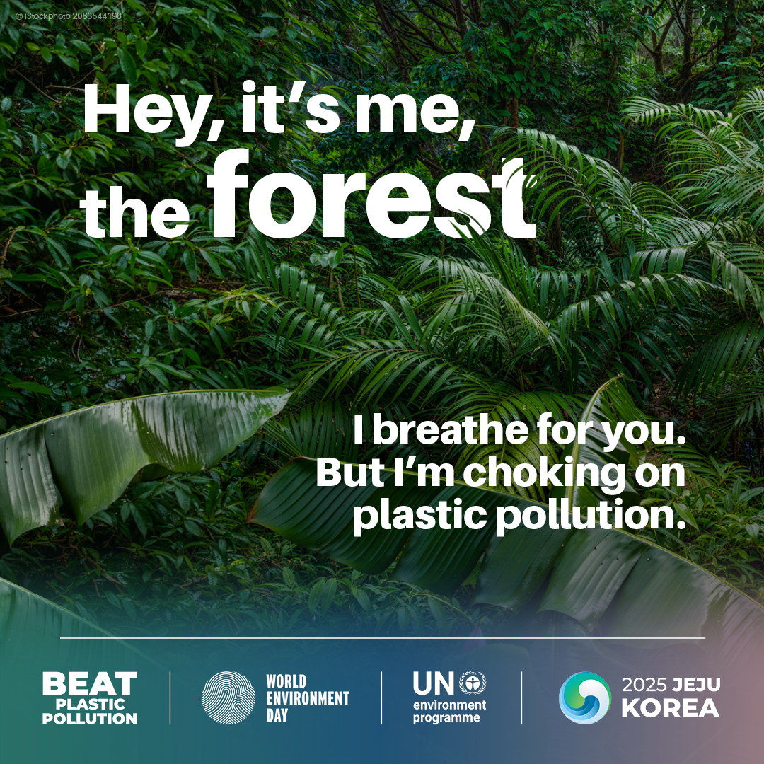 World Environment Day: From Plastics to Coatings, Huigu Supports a “Green Revolution” in the Packaging Industry