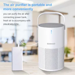 Best Air Purifier for Allergies