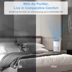 Best Air Purifier for Allergies