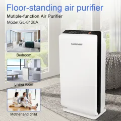Electric Air Cleaner GL-8128A