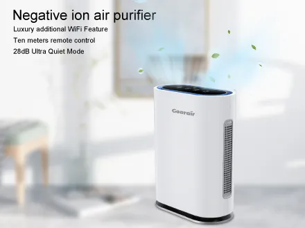 Why We Need the Air Purifier?
