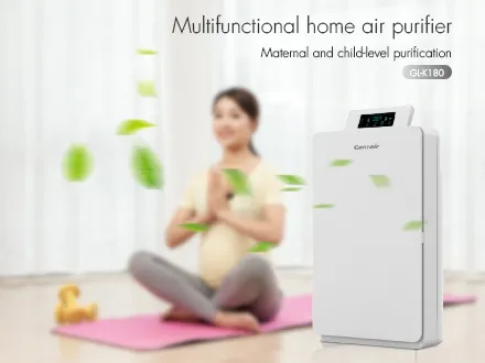 About the Air Purifier