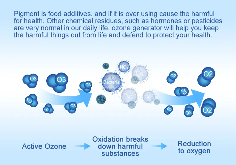 Ozonater and Ionizer Purifier