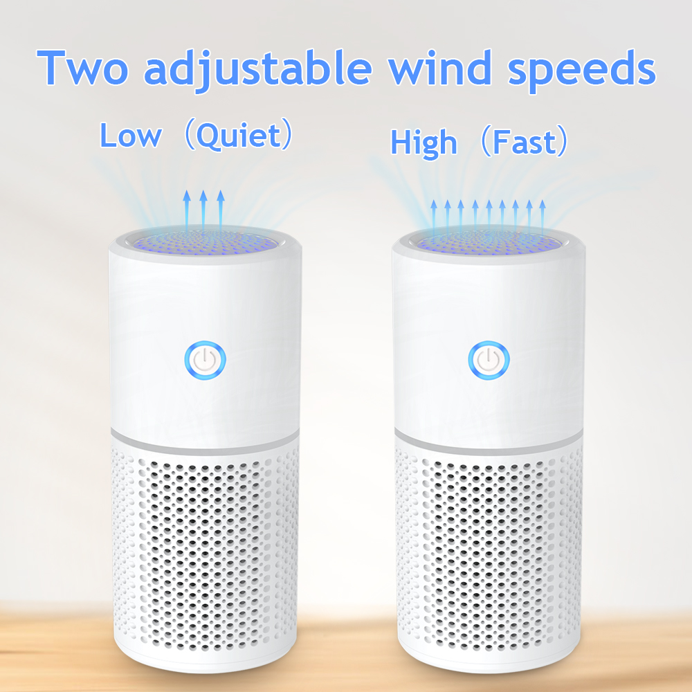 Multiple Function Portable Air Purifier