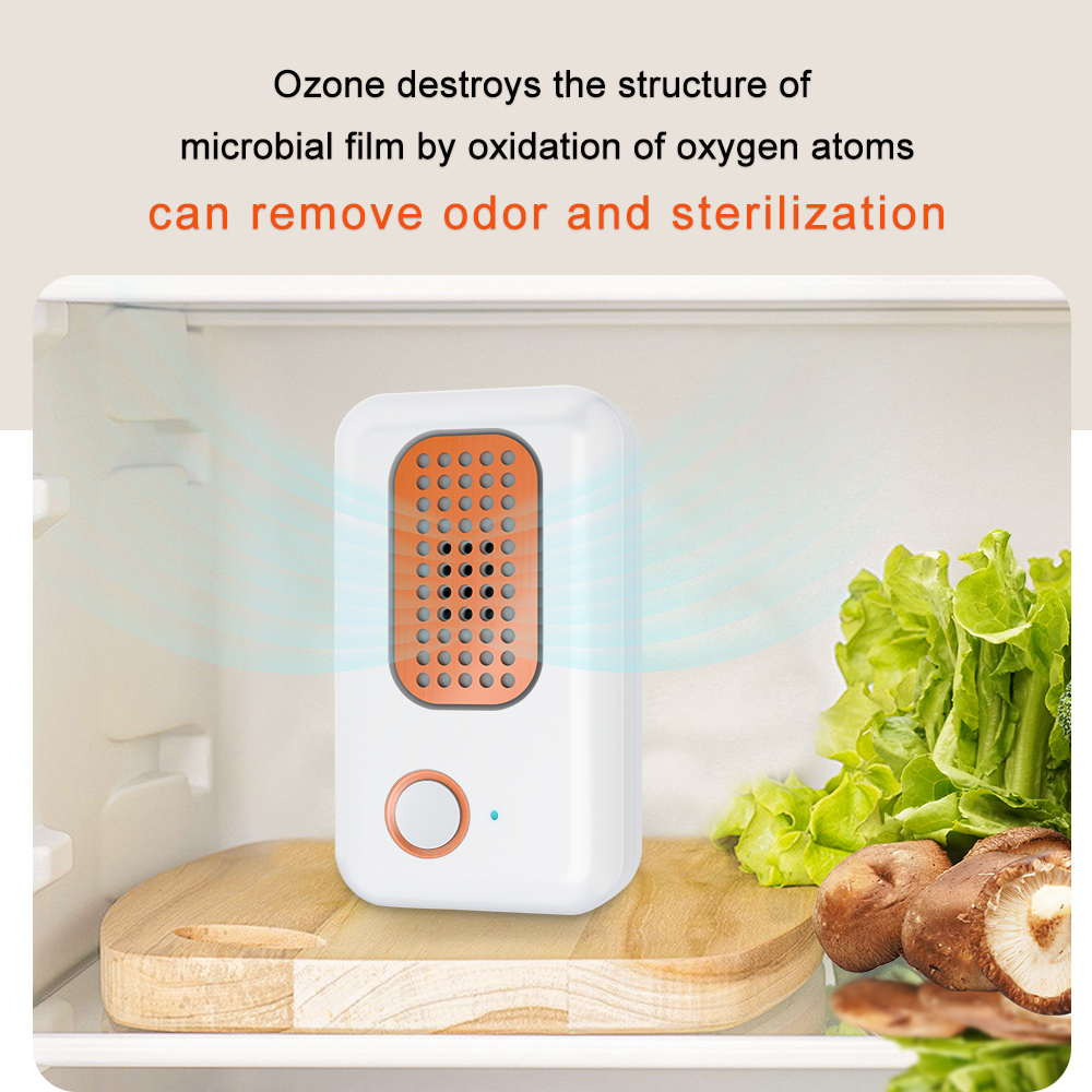 Portable Ozone Odor Eliminator