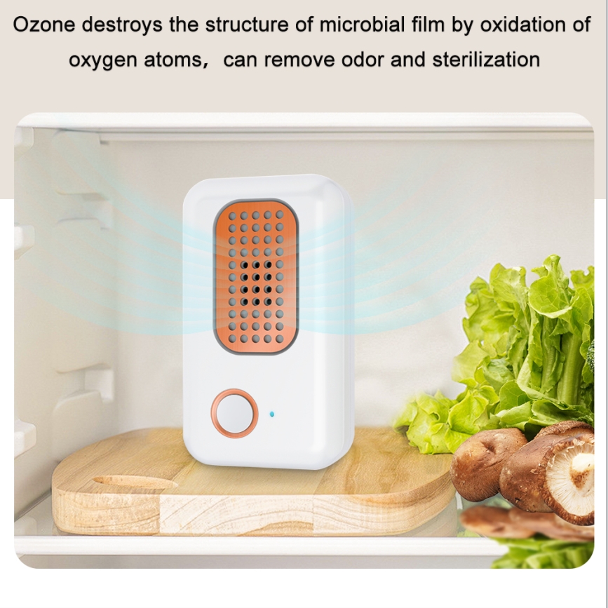 Portable Ozone Odor Eliminator