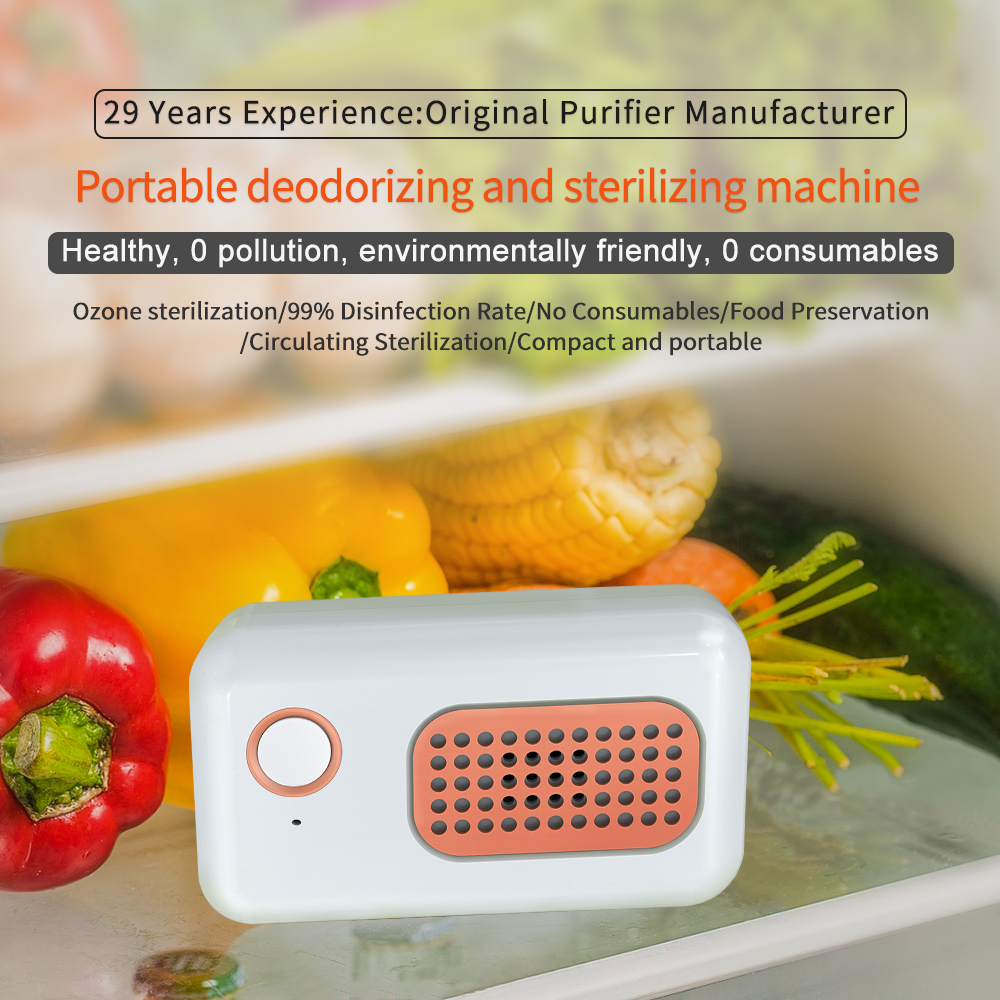 Portable Ozone Odor Eliminator