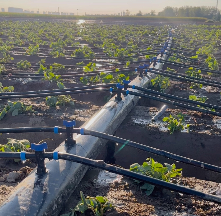 Drip Irrigation Belt: From Material Science to Field Solutions