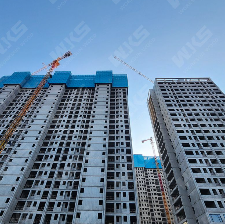 Self-Climbing Facade Protection Scaffold