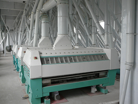 Eco-Friendly Grain Processing Equipment: Advancing Green Food Production
