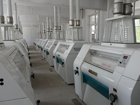 Fully Automated Grain Processing Lines: The Key to Higher Productivity and Quality
