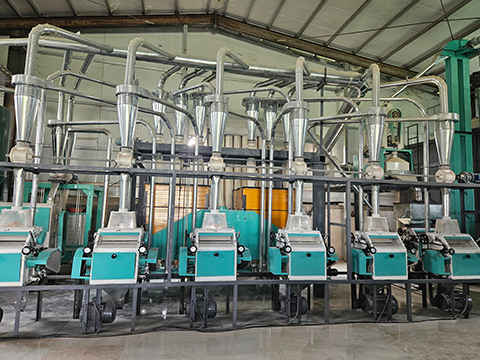 Intelligent Grain Processing Equipment: Driving Efficiency in the Food Industry