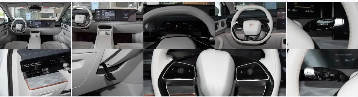 2024 жана Neta L 220 жана 310км