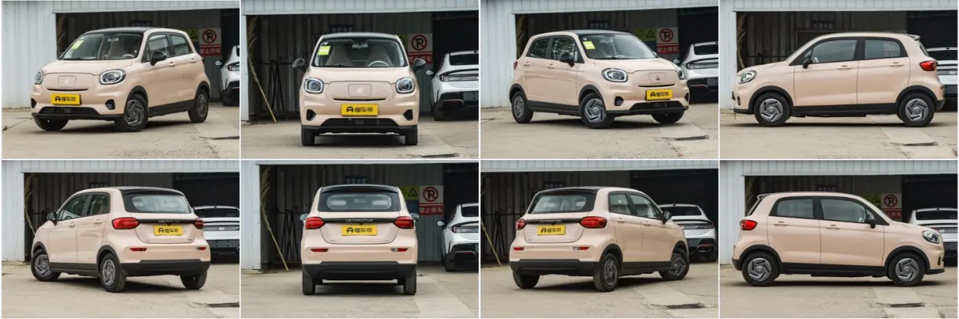 2024 Жаңы LEAPMOTER T03 200 км жана 310 & 403 км батарейка электр