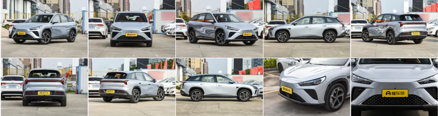 2024 жана Neta L 220 жана 310км