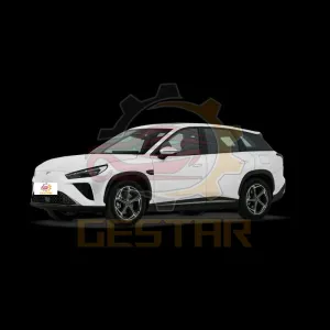 2024 жана Neta L 220 жана 310км