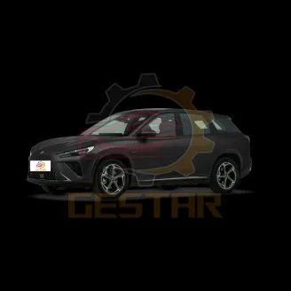 2024 Neta L 220 & 310 км урттай хүрээ цахилгаан тээврийн хэрэгсэл Эрев