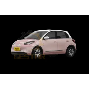 2024 New Wuling Binguo EV 330 & 410km بطارية السيارة الكهربائية