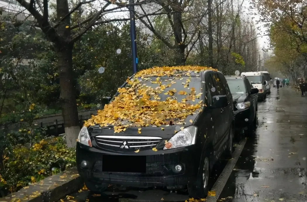 What are the effects of a car not starting for a long time?