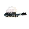 Chery Front Shock Absorber for CHERY ARRIZO J52-2905010