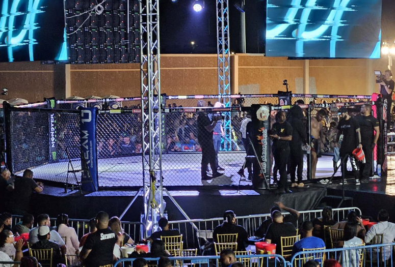 China Made Elevated MMA Cage Boxing Ring