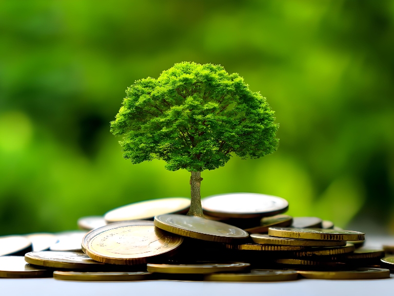 Green finance benefits from favorable policies