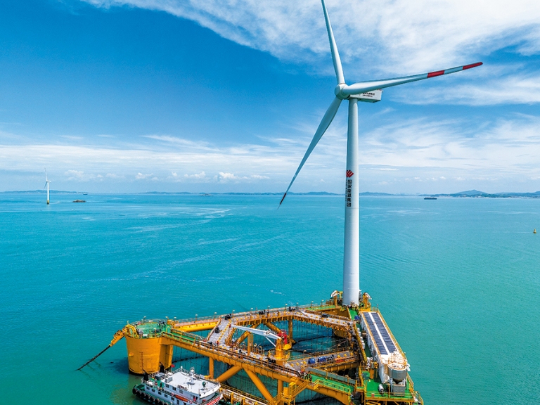 Offshore breezes prove windfall for fisheries