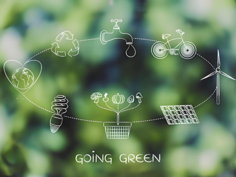 President Xi champions green growth