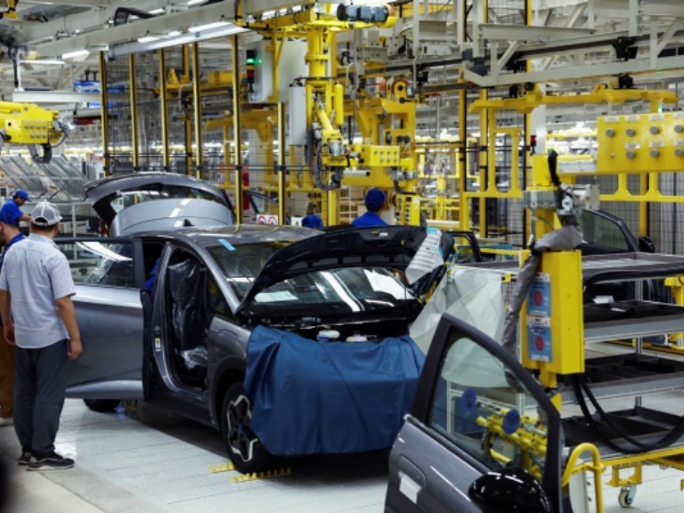 Domestic brands look to grow global markets