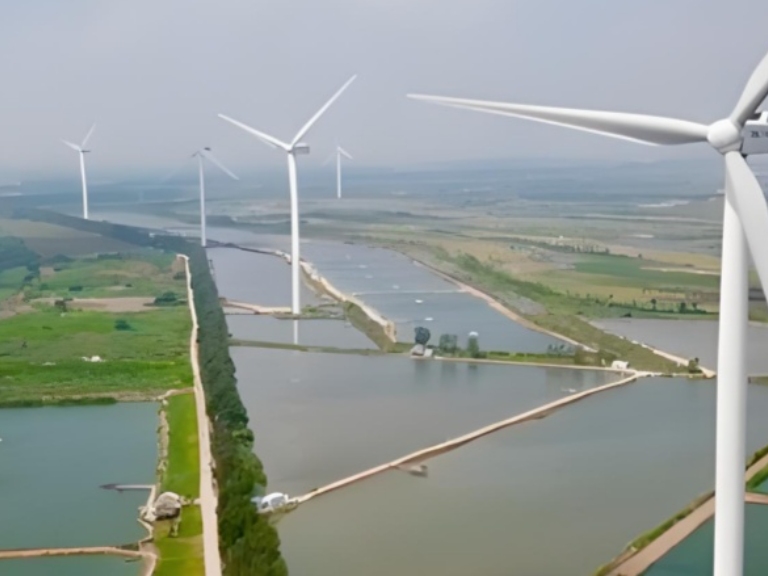 Chinese coastal cities eye diversified green energy development