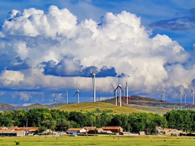 China's national carbon trading market records big growth