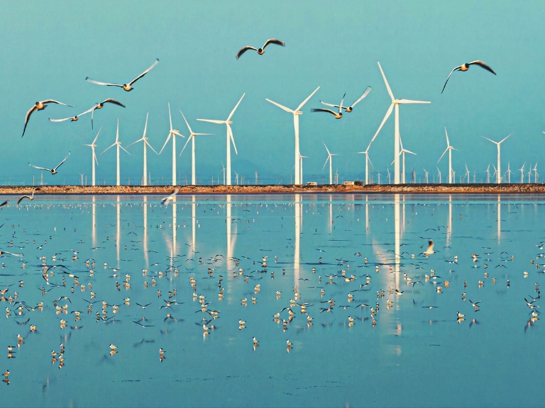 China to increase finance support for green, low-carbon development: central bank official